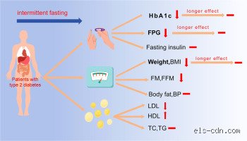 Can a 72 hour fast reverse diabetes? The harsh reality behind the viral metabolic trend