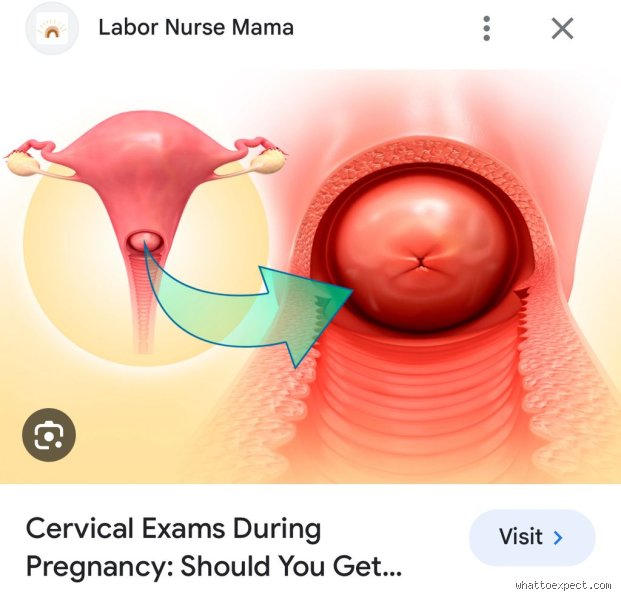 Can I See My Cervix in a Mirror? The Surprising Reality of Home Self-Examinations