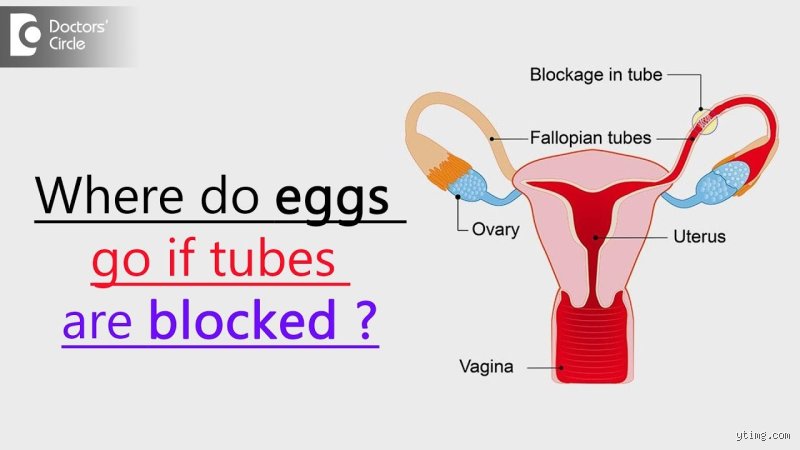 Does a woman still produce eggs after tubal ligation and permanent sterilization procedures?