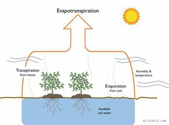 Mastering How Can We Prevent Evaporation In Modern Agriculture And Industry