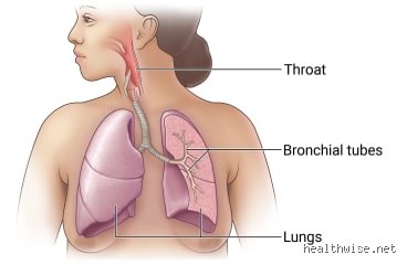 The Reality of Cellular Suffocation: How Do You Clear Your Lungs After Inhaling Fumes Safely?