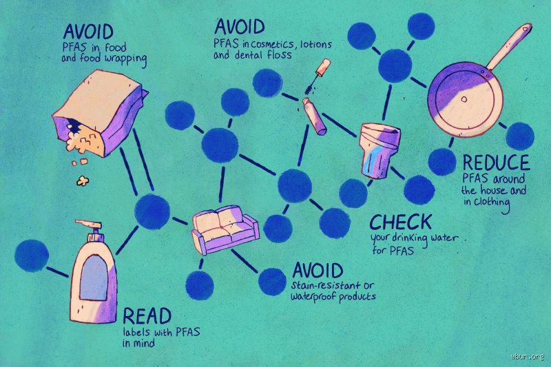 How to Get Rid of Forever Chemicals in Body Naturally: The Real Science Beyond the Detox Myths