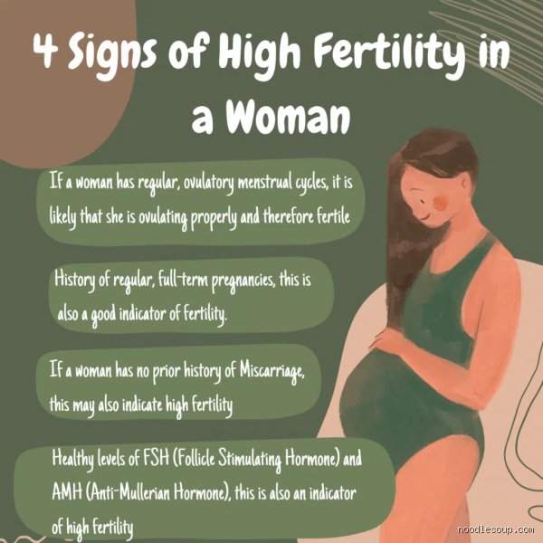 How to Tell if Your Fertility Is High and Decode Your Body’s Hidden Reproductive Signals