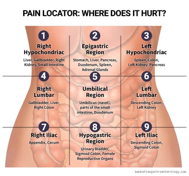 Is Pancreas Pain on the Left or Right? Decoding the Anatomy and Location of Pancreatic Distress