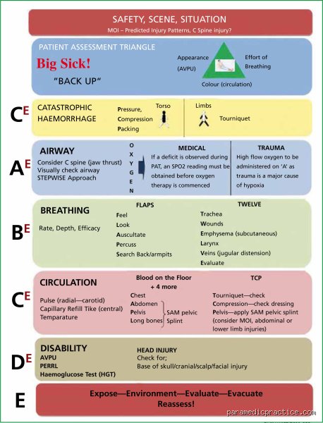 Beyond the Golden Hour: What Are the 5 Components of Primary Assessment That Save Lives in Trauma and Medical Emergencies?
