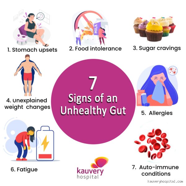 Why Your Microbe Biome Matters: Identifying the 7 Signs of an Unhealthy Gut Before Chaos Begins