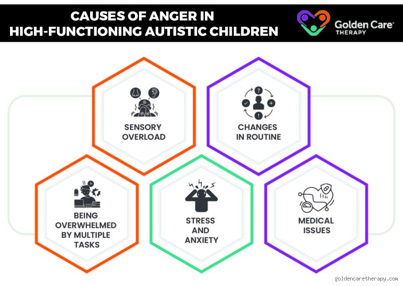 Decoding the Storm: What Are the Anger Issues with High-Functioning Autism and Why Everyone Gets Them Wrong