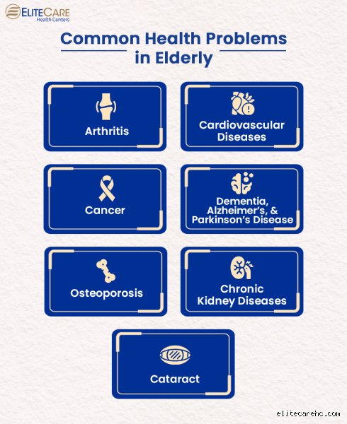 The Hidden Architecture of Aging: Decoding the Four Major Old Age Problems Facing Our Modern Society