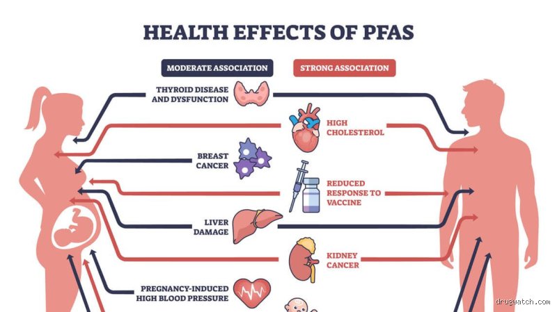 The Invisible Accumulation: What Are the Symptoms of PFAS in the Body and How Do They Manifest?