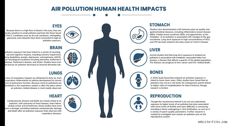 Understanding Toxic Air Exposure: The Silent Symptoms and Unexpected Health Signals You Should Never Ignore
