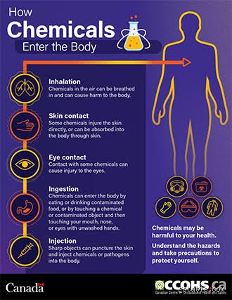 Invisible Intruders: What Are the Three Most Common Ways Toxic Chemicals Enter the Body?