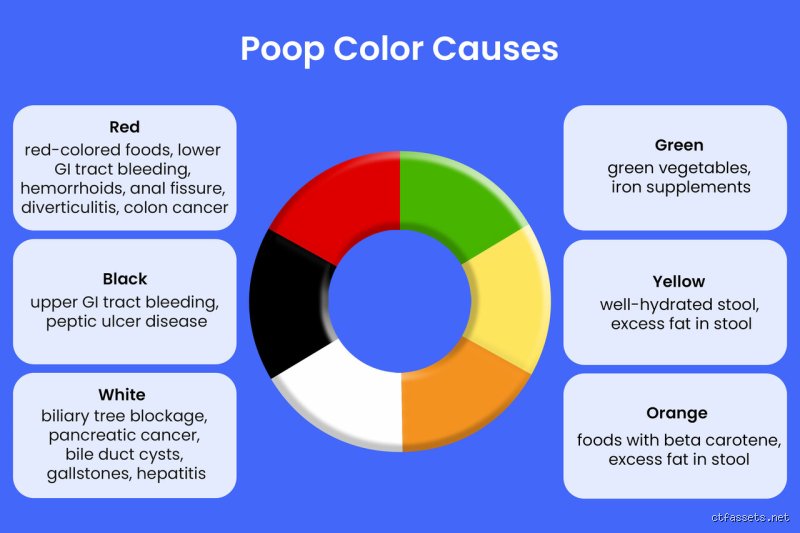 Beyond the Porcelain: Identifying Exactly What Color Stool is Worrisome for Your Long-term Health