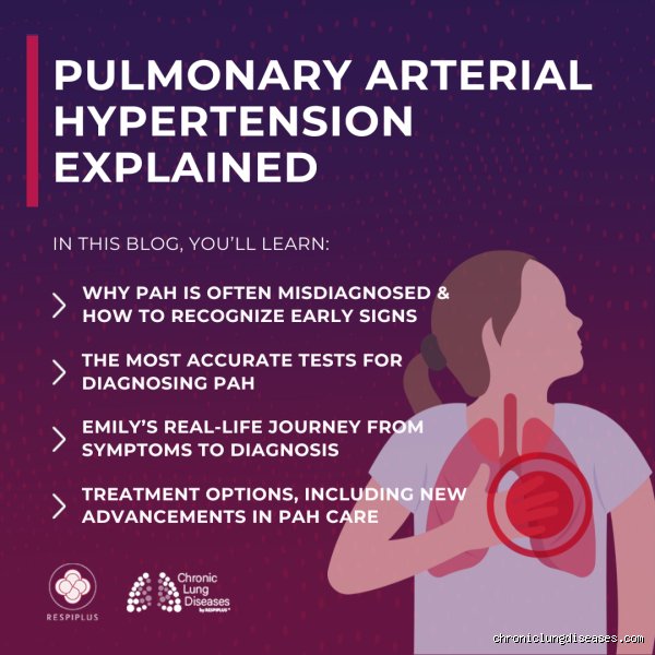 Unraveling the Diagnostic Maze: What Could Be Mistaken for Pulmonary Hypertension in Modern Cardiology?