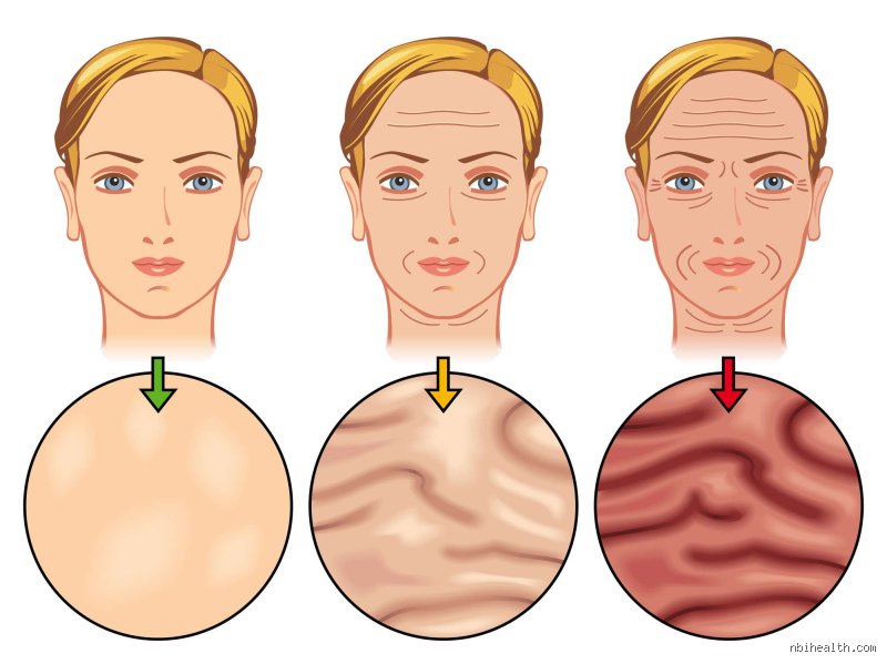 The Hidden Saboteurs of Youth: What Destroys Collagen the Most and How Your Skin is Paying the Price