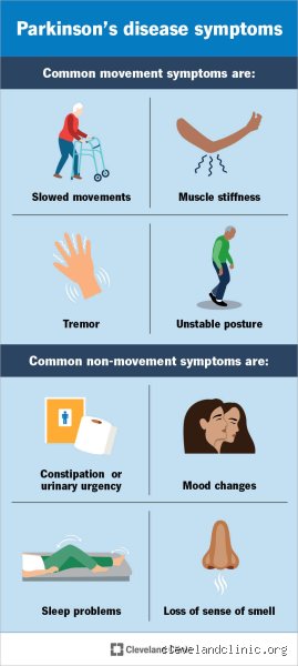 Beyond the Tremor: What Do Parkinson’s Patients Lack and Why It Matters Far More Than You Think