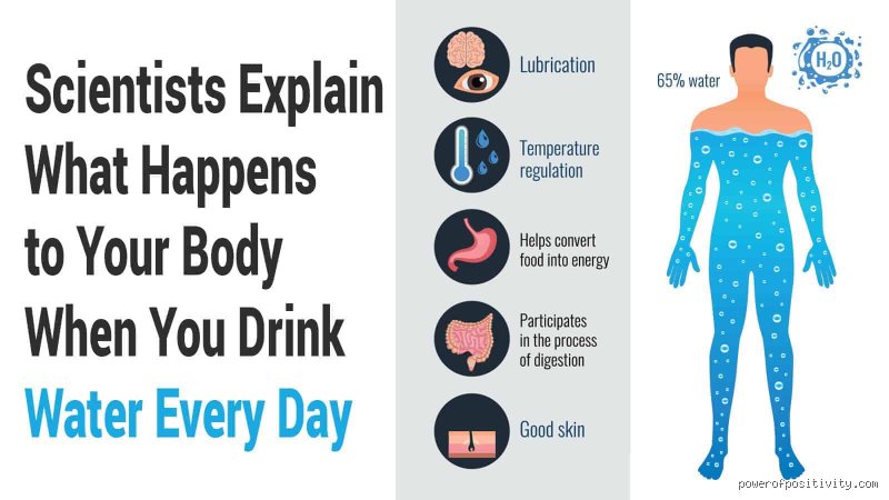 Decoding the Biological Reality of What Happens If I Drink Only Water Everyday