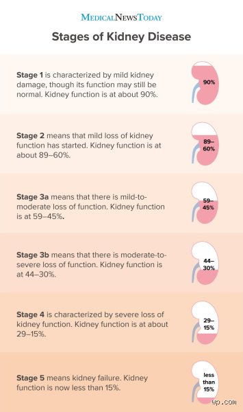 Navigating the threshold: Understanding the first Stage of Kidney failure