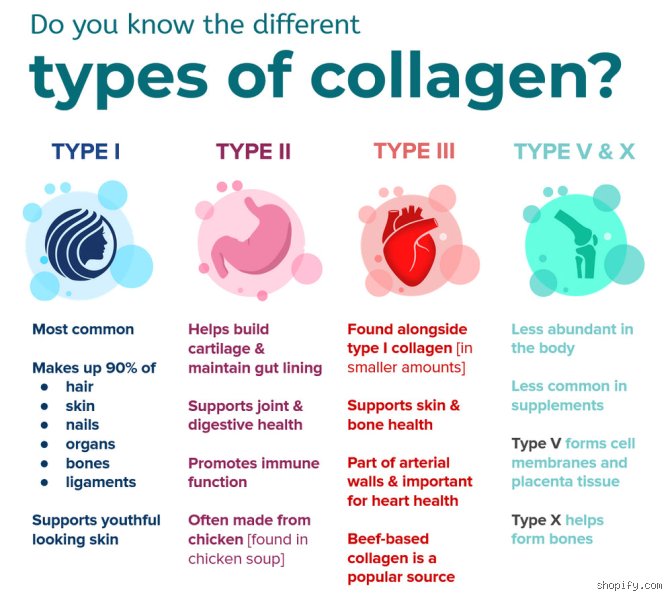 What Is the Healthiest Form of Collagen to Take for Visible, Evidence-Based Results?