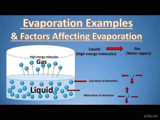 Decoding the Invisible Mechanics Behind the Rate of Evaporation in Everyday Physics