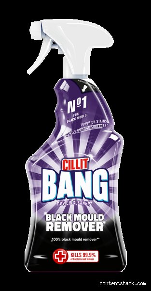 What Kills 100% of Black Mold? The Unfiltered Truth About Eradicating Toxic Spores Permanently