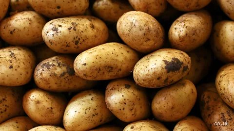 What one Food could you live the longest on? A comprehensive Nutritional survival analysis