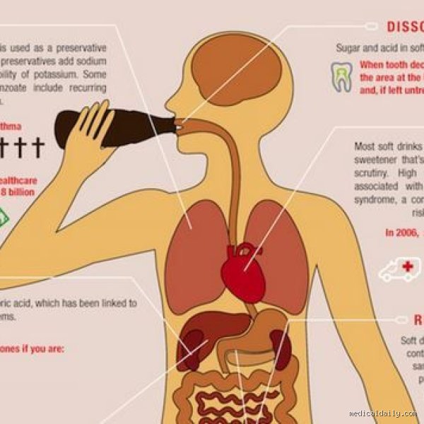 Beyond the Fizz: What Organ Is Most Affected by Soda and the Silent Cellular Toll It Takes