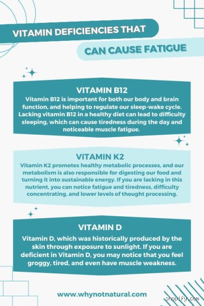 What Vitamin Deficiency Causes Fatigue And Why Your Morning Espresso Is Only Masking The Real Problem