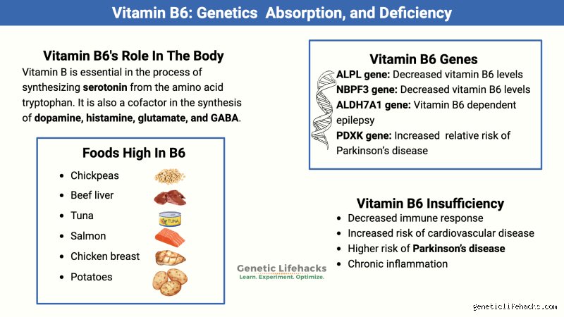 Why avoid Vitamin B6 in Parkinson’s disease? A comprehensive clinical examination (part I: Mechanisms, interactions, and historical context)