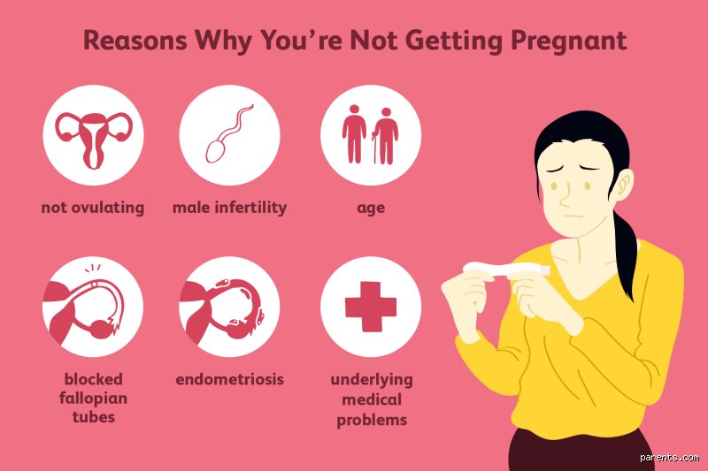 Why didn't I get pregnant on ovulation day?