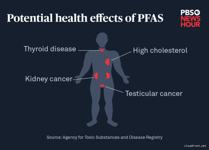 Will PFAS ever leave your body? The unsettling science behind the chemicals that refuse to pack their bags