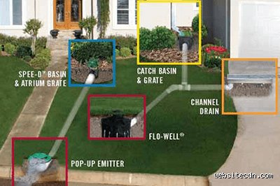 How to Get Rid of Standing Water Fast and Save Your Property From Catastrophic Damage