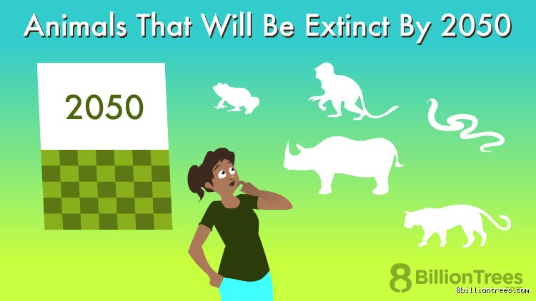 What Will Go Extinct by 2050? The Brutal Reality Facing Our Planet Over the Next Three Decades