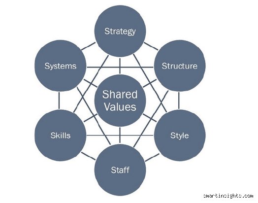 What Are the 7S of Digital Marketing?