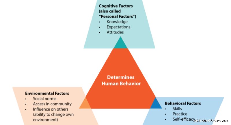 Decoding the Architecture of the Mind: What are the Key Concepts of Cognitive Theory and How Do They Shape Human Behavior?