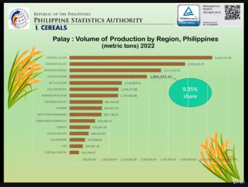 Beyond the Postcard View: What Are the Top 5 Major Crops in the Philippines That Actually Power the Economy?