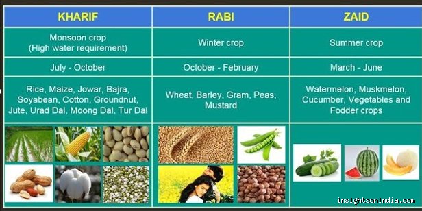 The Rhythms of the Indian Soil: Understanding the Three Types of Crops in India That Feed a Billion