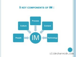 Demystifying Corporate Data: What are the 5 Key Components of Information Management in Modern Enterprise?