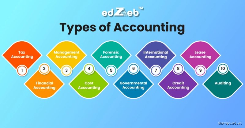 Beyond the Ledgers: What Are the Five Types of Accounting Shaping Modern Business?