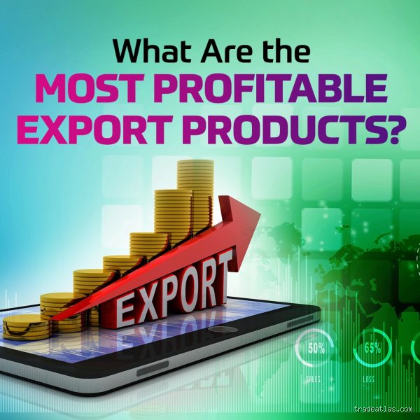Beyond the Container Ships: What Are the Most Profitable Exports Driving the Global Wealth Race?