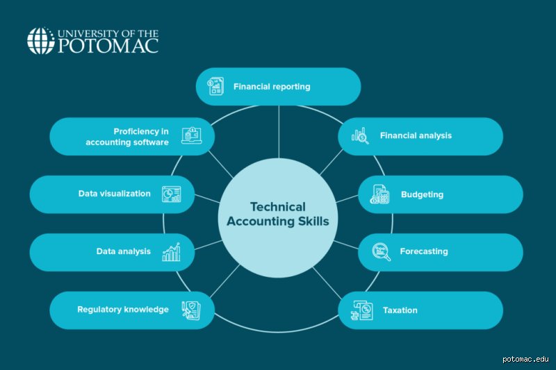 Beyond the Balance Sheet: What Are the Skills Needed for Accounting in Today's Volatile Market?