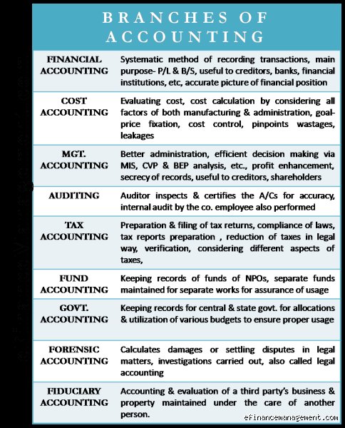 Beyond the Ledger: Decoding the Three Branches of Accounting That Move Global Capital