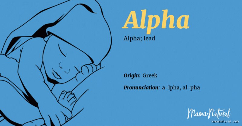 Demystifying the Alpha Name: Why Your Brand’s Mobile Sender ID is the Ultimate Key to Modern Customer Trust