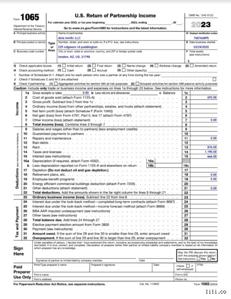 Everything You Ever Wanted to Know About Who Needs to File Form 1065 (And Probably a Few Things You Didn't)