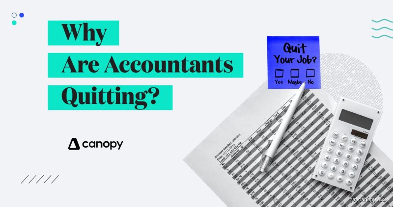 The Great Audit Exodus: Why Do So Many Accountants Quit the Profession They Spent Years Fighting to Enter?