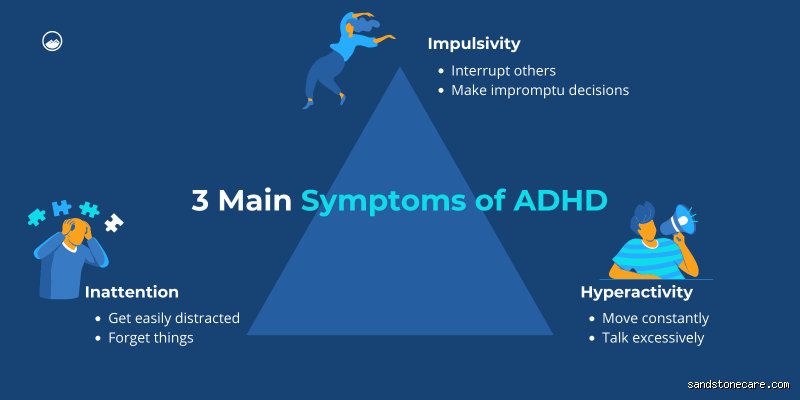 Beyond the Bounce: What Are the Top 3 Signs of ADHD and How Do They Actually Manifest in Daily Life?