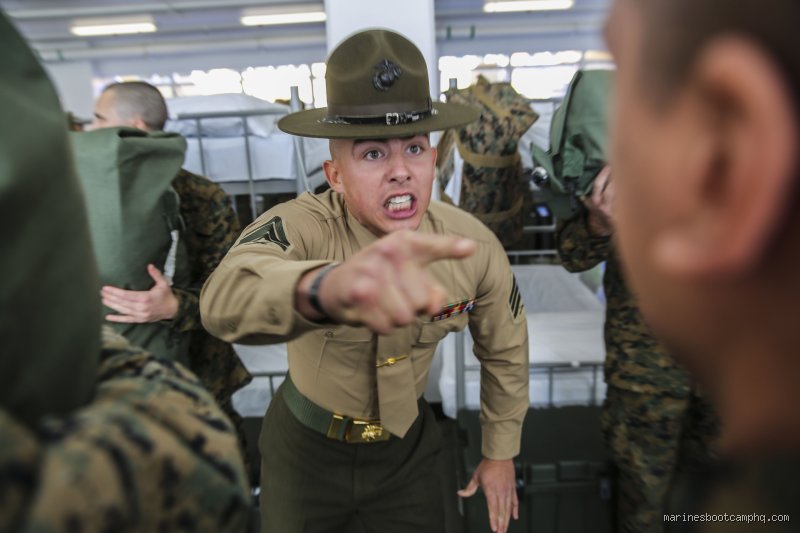 Boot Camp Slang Revealed: What Do Marines Call Newbies in the Fleet?