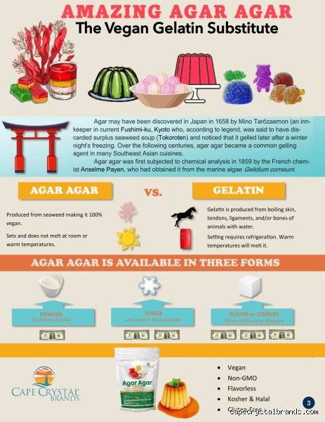 Beyond Panned Candy and Jello Shots: What Do Vegans Use Instead of Gelatin to Achieve the Perfect Set?