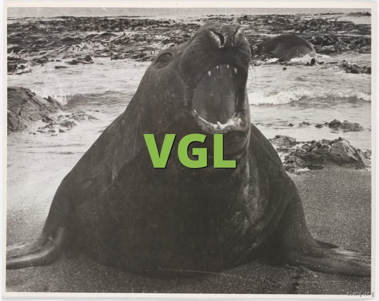 Decoding Digital Desire: What Does VGL Mean in Dating and How Does This Controversial Acronym Shape Modern Romance?