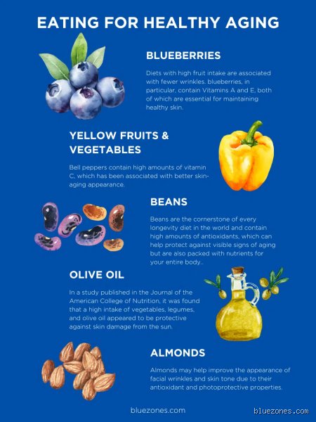 The Edible Facelift: What Foods Reduce Face Wrinkle Depth and Save Skin Elasticity?