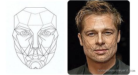 The Geometry of Hollywood Charm: What Is Brad Pitt’s Golden Ratio and Why Does It Captivate Us?